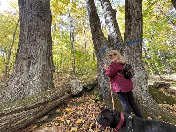 The Rural We: Lori Bradley