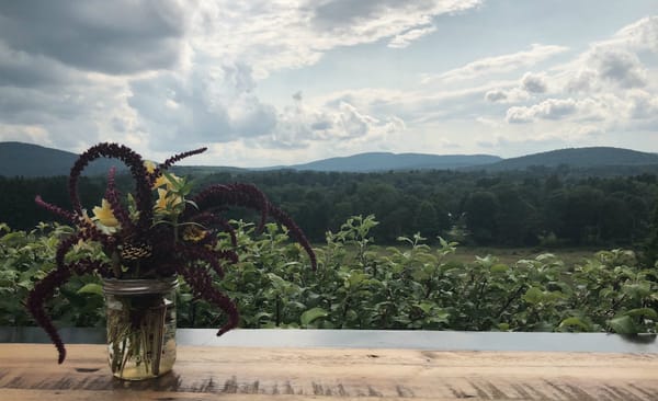 A Party for Rural Intelligence Supporters