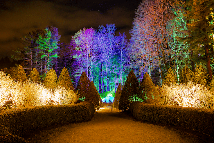 NightWood at The Mount