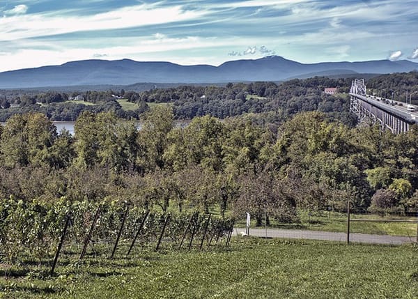 Whitecliff Vineyard Debuts New Hudson Tasting Room