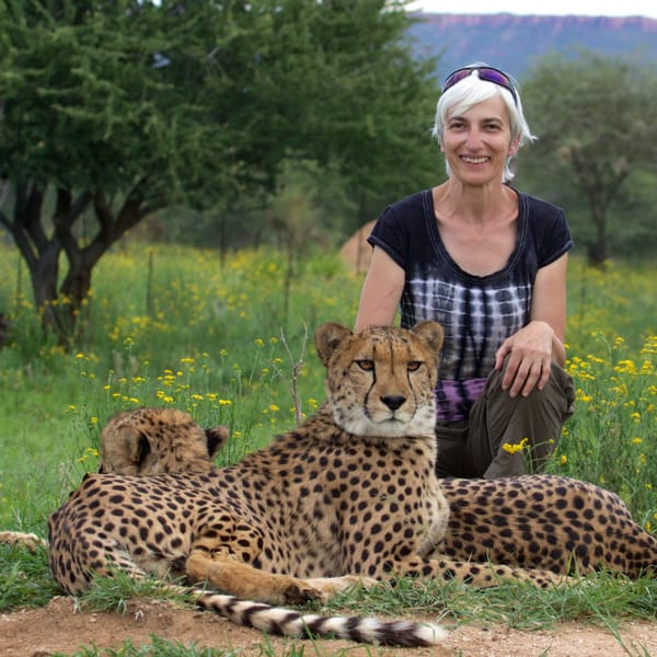 The Rural We: Paola Bari