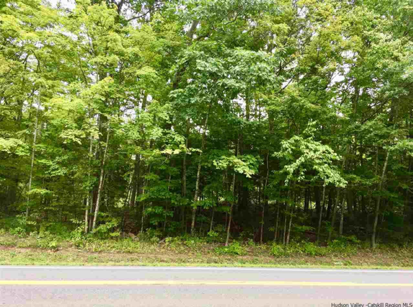 SPONSORED: LAND FOR SALE IN CATSKILL, NEW YORK