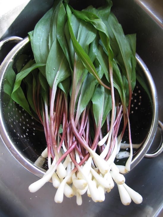 Recipe: Ramps Done Three Ways