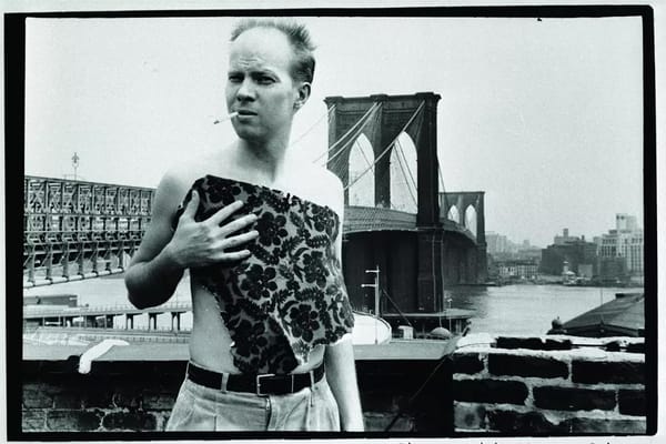 Ray Johnson Documentary "How to Draw a Bunny" Screens in Hudson