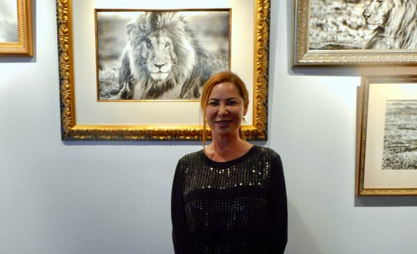 Wildlife Joins A Sensory Evening At MASS MoCA