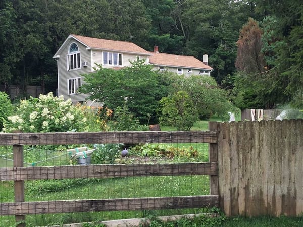 New England Pastures