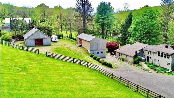 Horses On Hunns Lake Road