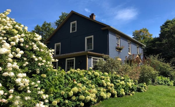 At Home In The Kitchen