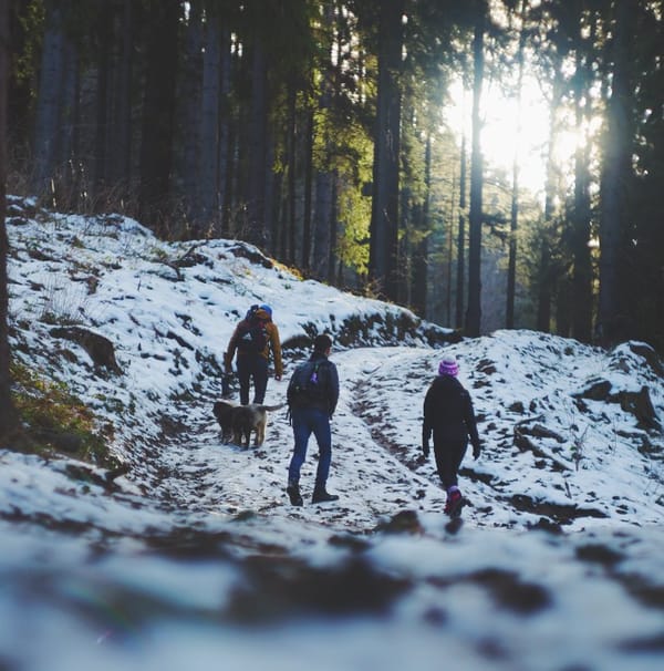Step Into 2024 With A First Day Hike