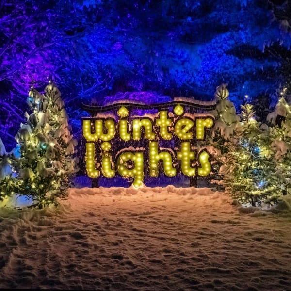 Walk Into The Holiday Lights At These Four Berkshire Destinations