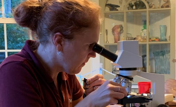 The Rural We: Wendy Miller