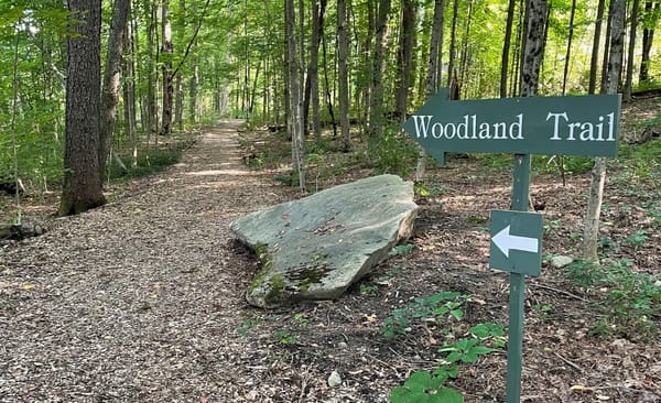 The (Sort Of) Good News About This Tick Season