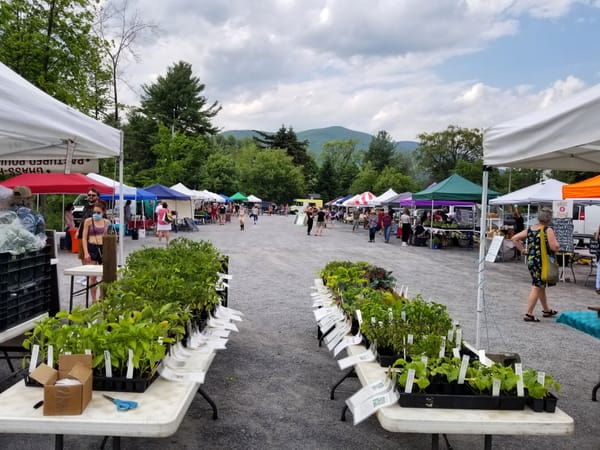 Woodstock Farm Festival