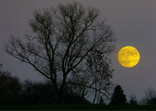 RI Outdoors: Moon Musings And Solstice Yoga