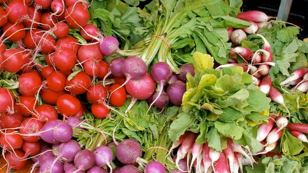 A Weekend of Special Berkshire Farmers Markets