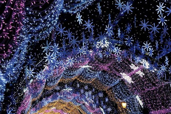 Wonderland of Lights at the Dutchess County Fairgrounds