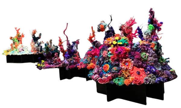 Crochet Coral Workshop