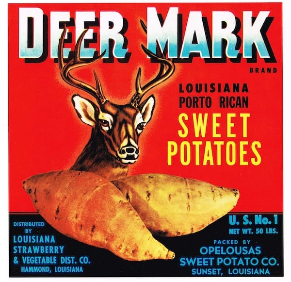 The (Somewhat) Interesting History of the "Hot Potato" and a Hike