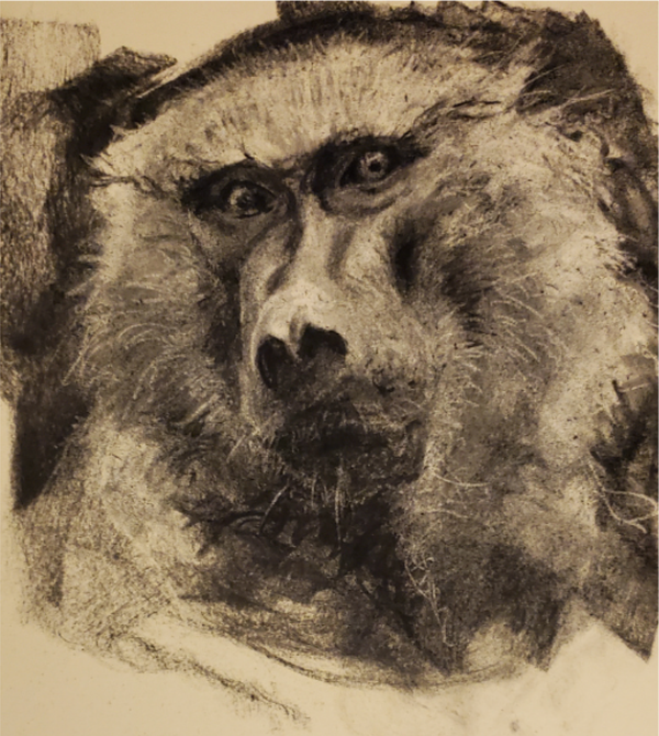 “Creatura” and “Unleashed” at Five Points Gallery, Torrington