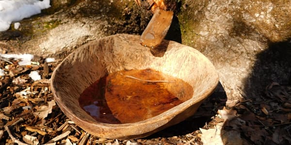 Annual Maple Sugar Festival at IAIS