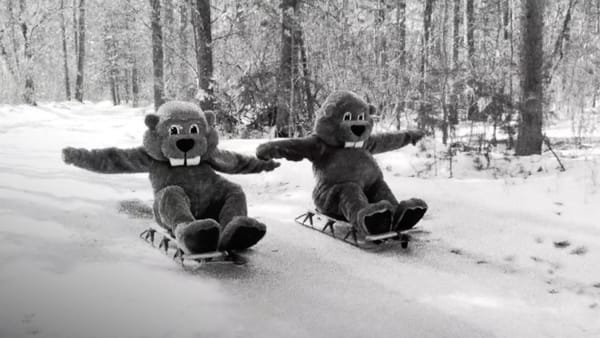 "Hundreds of Beavers" at the Stissing Center