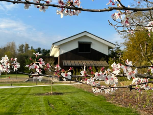 Ephemeral April: 10 Singular Spring Events