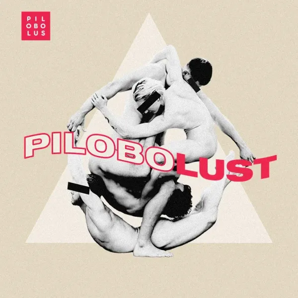 Pilobolust Makes CT Debut in Ridgefield