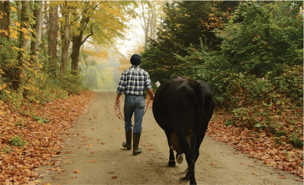 Mom-and-Pop Berkshire Food System Experts Bring Cookbook and Dinner to MASS MoCA