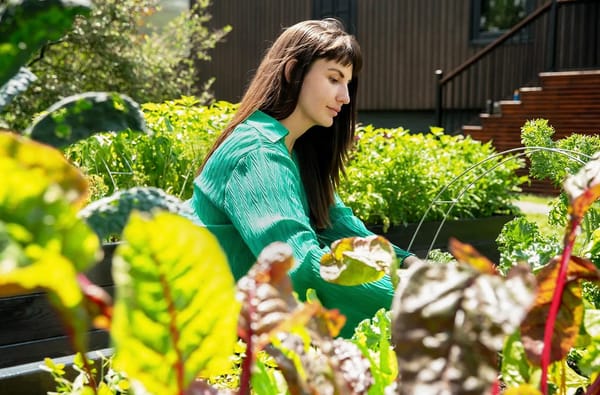 Some Expert Help Planting Your Edible Garden This Spring