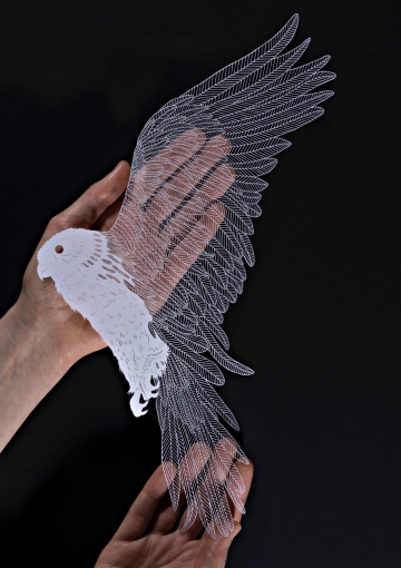 <p><strong>Photograph by Laura Glazer; hand-cut paper by Maude White; reproduced from&nbsp;<em>Brave Birds</em>, Abrams Image, 2018.</strong></p>